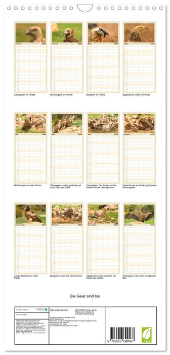 Die Geier sind los (CALVENDO Familienplaner 2026)