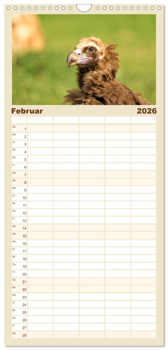 Die Geier sind los (CALVENDO Familienplaner 2026)