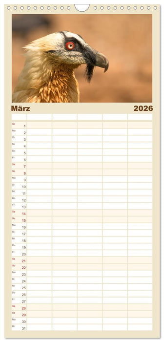 Die Geier sind los (CALVENDO Familienplaner 2026)