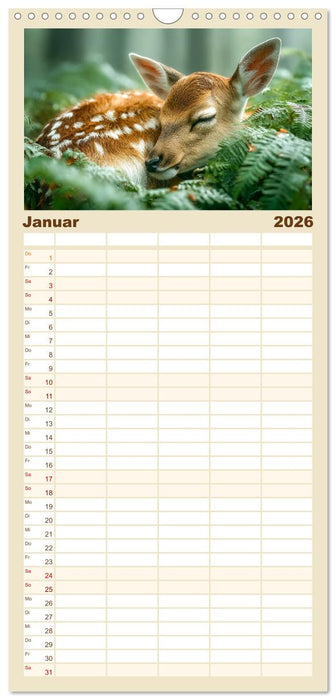 GUTE NACHT - Schlafende Tiere, traumhaft schön (CALVENDO Familienplaner 2026)