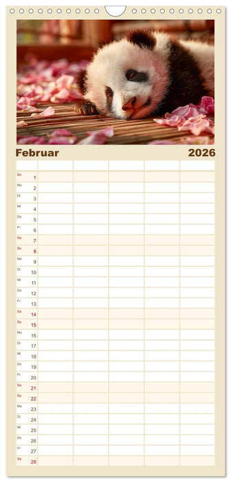 GUTE NACHT - Schlafende Tiere, traumhaft schön (CALVENDO Familienplaner 2026)