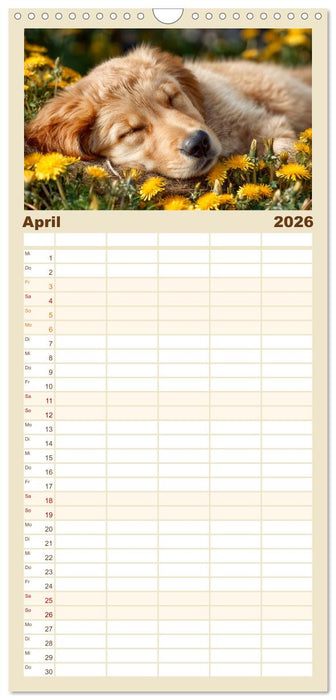 GUTE NACHT - Schlafende Tiere, traumhaft schön (CALVENDO Familienplaner 2026)