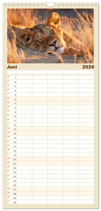 GUTE NACHT - Schlafende Tiere, traumhaft schön (CALVENDO Familienplaner 2026)