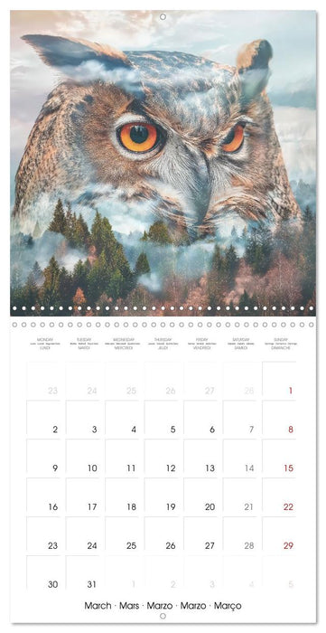 Animaux sauvages de la forêt (CALVENDO Calendrier mensuel 2026)
