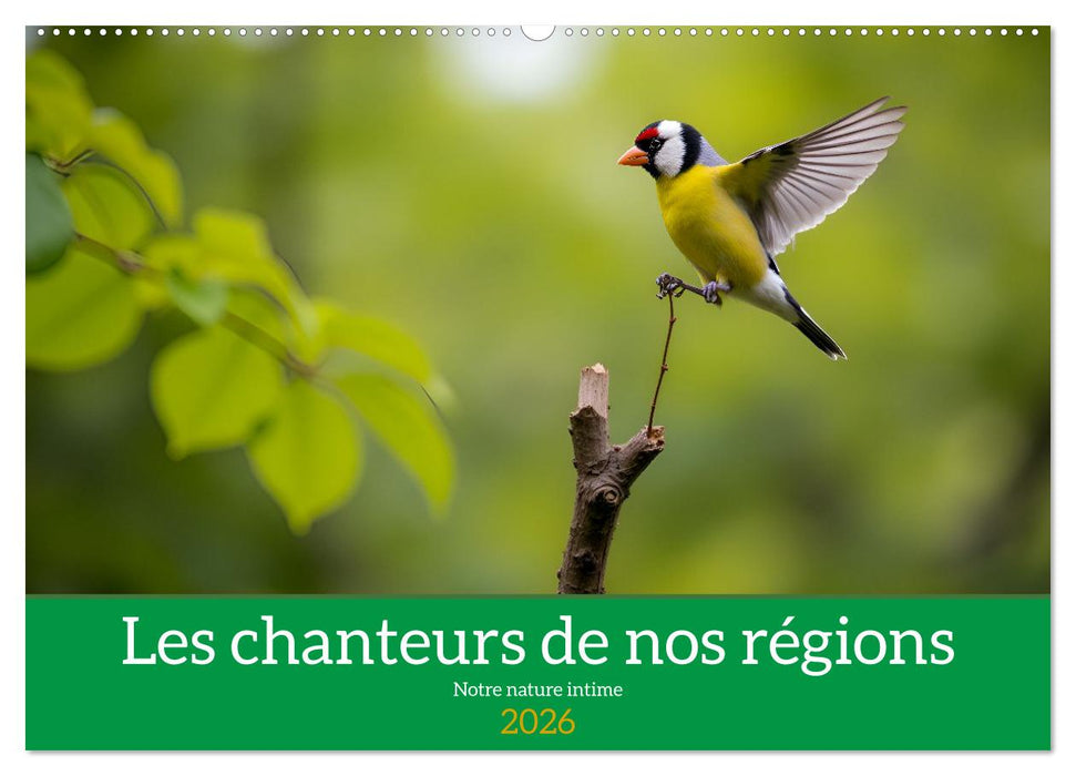 Les chanteurs de nos régions - Notre nature intime (CALVENDO Calendrier mensuel 2026)