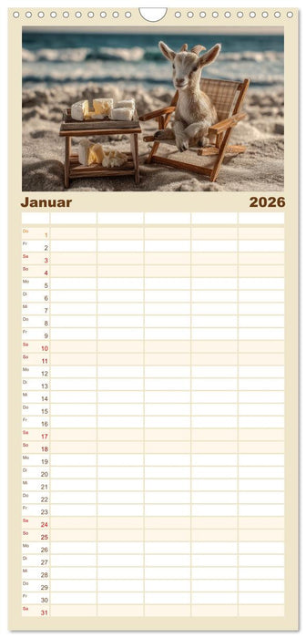 Strandgeflüster (CALVENDO Familienplaner 2026)