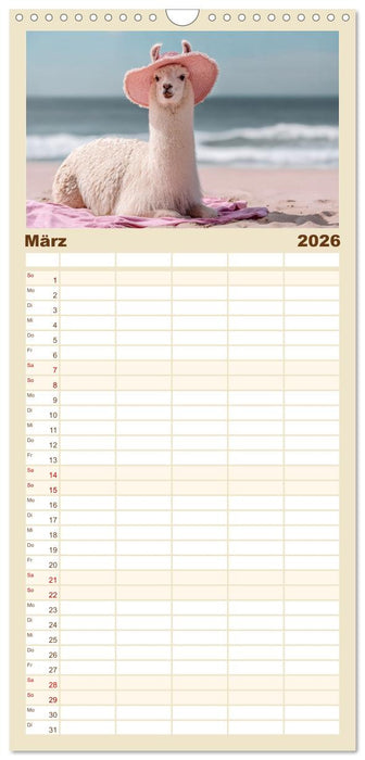 Strandgeflüster (CALVENDO Familienplaner 2026)