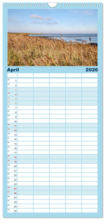 Amrum: Natur und Freiheit (CALVENDO Familienplaner 2026)