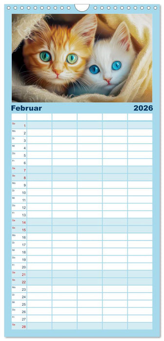 Katzen Illustrationen - Faszination pur (CALVENDO Familienplaner 2026)