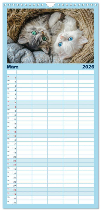 Katzen Illustrationen - Faszination pur (CALVENDO Familienplaner 2026)