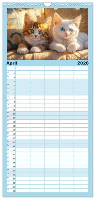 Katzen Illustrationen - Faszination pur (CALVENDO Familienplaner 2026)
