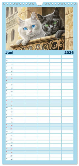 Katzen Illustrationen - Faszination pur (CALVENDO Familienplaner 2026)