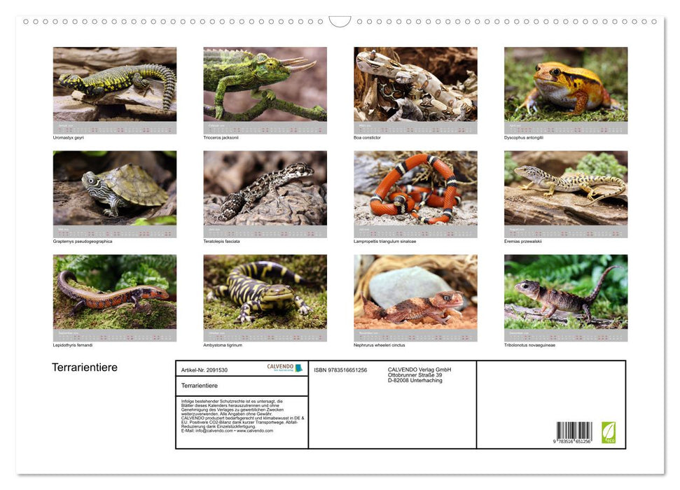 Terrarientiere (CALVENDO Wandkalender 2026)