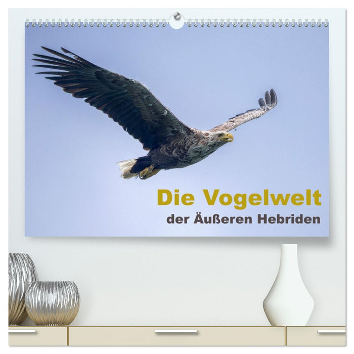 Die Vogelwelt der Äußeren Hebriden (CALVENDO Premium Wandkalender 2026)