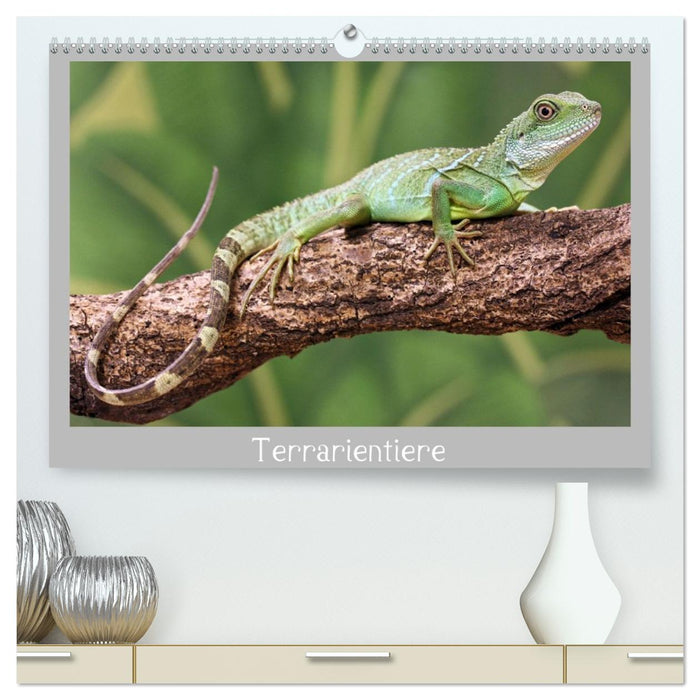 Terrarientiere (CALVENDO Premium Wandkalender 2026)