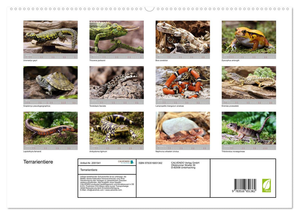 Terrarientiere (CALVENDO Premium Wandkalender 2026)
