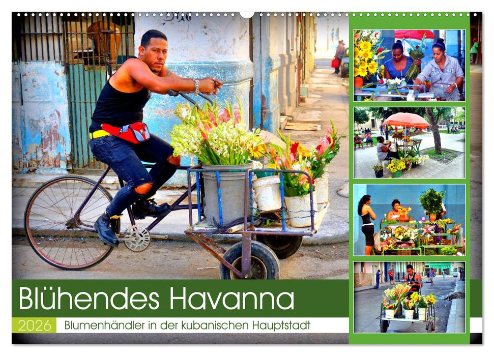 Blühendes Havanna - Blumenhändler in der kubanischen Hauptstadt (CALVENDO Wandkalender 2026)