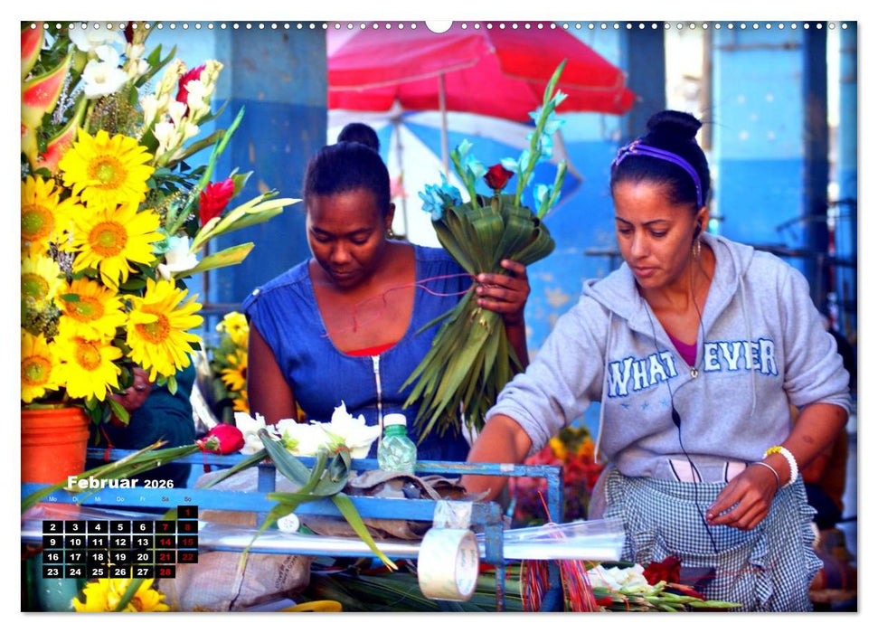 Blühendes Havanna - Blumenhändler in der kubanischen Hauptstadt (CALVENDO Premium Wandkalender 2026)