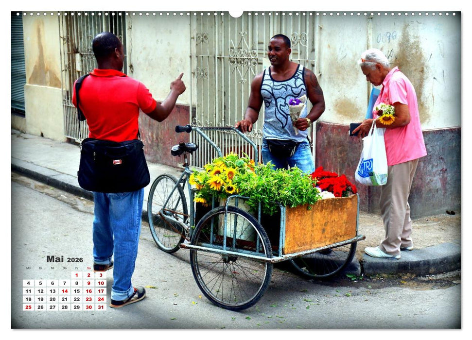 Blühendes Havanna - Blumenhändler in der kubanischen Hauptstadt (CALVENDO Premium Wandkalender 2026)