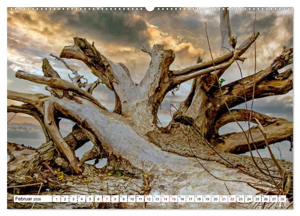 Beckerwitz - Impressionen aus der Wohlenberger Wiek (Wismarer Bucht) (CALVENDO Wandkalender 2026)