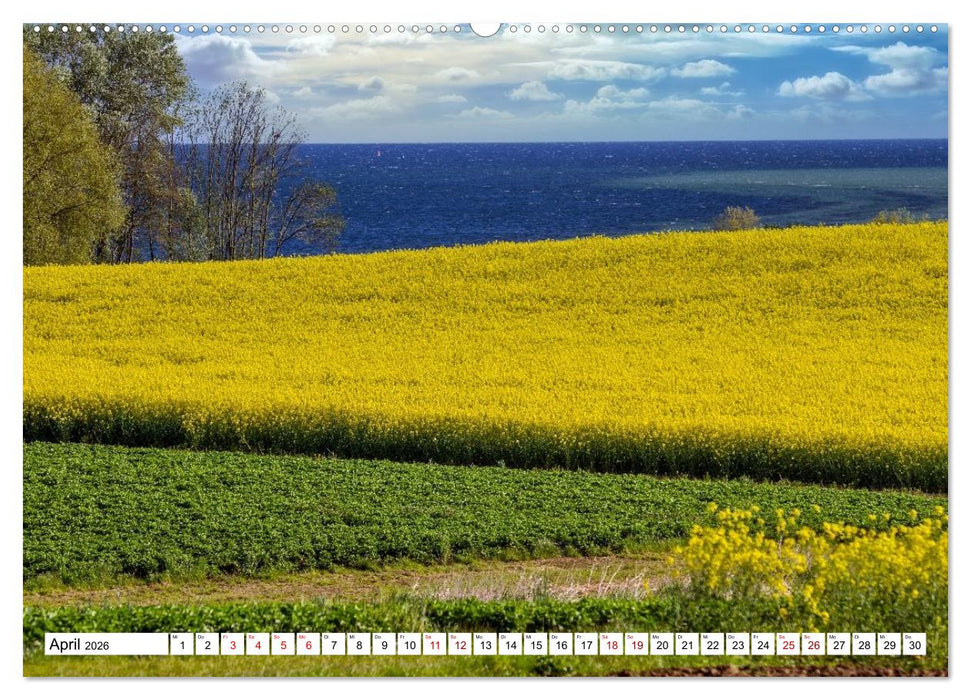 Beckerwitz - Impressionen aus der Wohlenberger Wiek (Wismarer Bucht) (CALVENDO Wandkalender 2026)