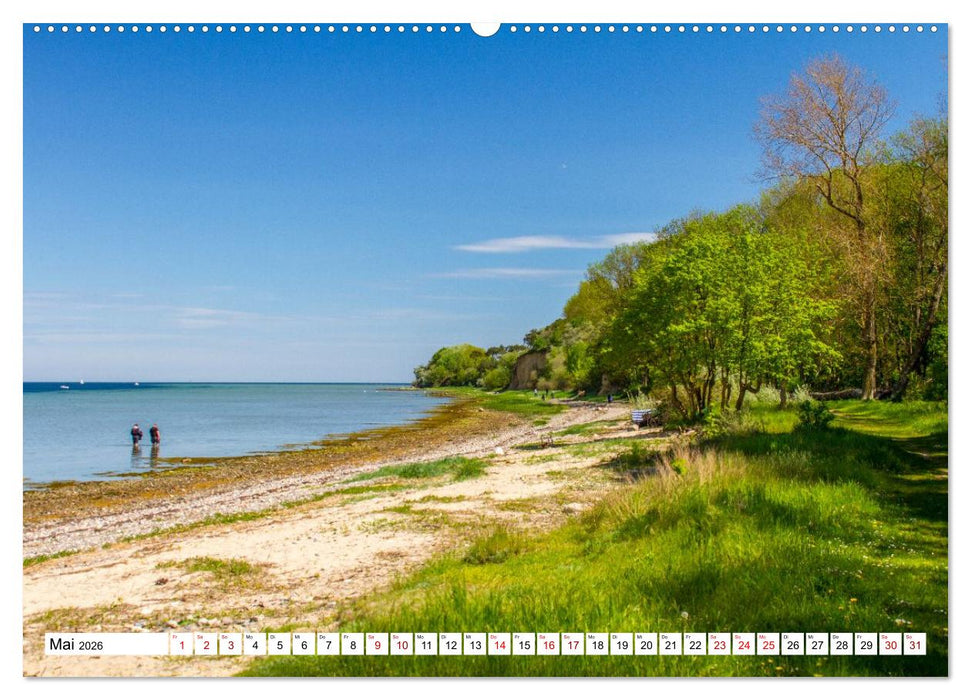 Beckerwitz - Impressionen aus der Wohlenberger Wiek (Wismarer Bucht) (CALVENDO Wandkalender 2026)