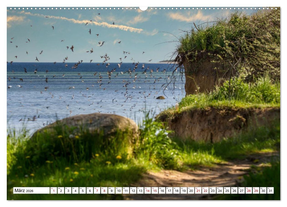 Beckerwitz - Impressionen aus der Wohlenberger Wiek (Wismarer Bucht) (CALVENDO Premium Wandkalender 2026)