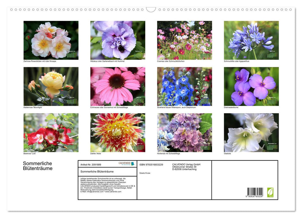 Sommerliche Blütenträume (CALVENDO Wandkalender 2026)