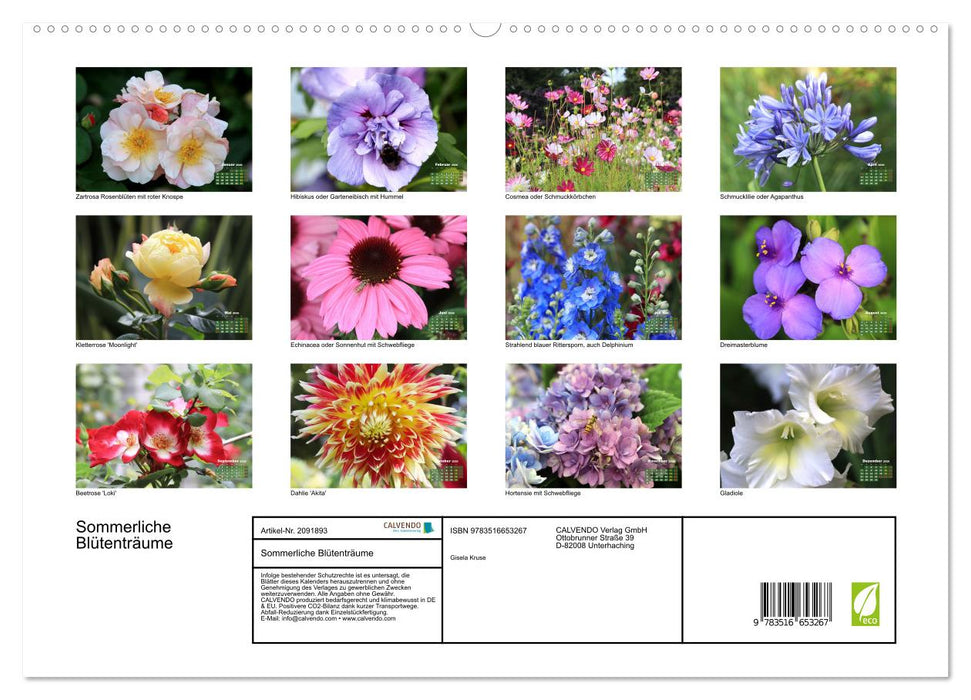 Sommerliche Blütenträume (CALVENDO Premium Wandkalender 2026)