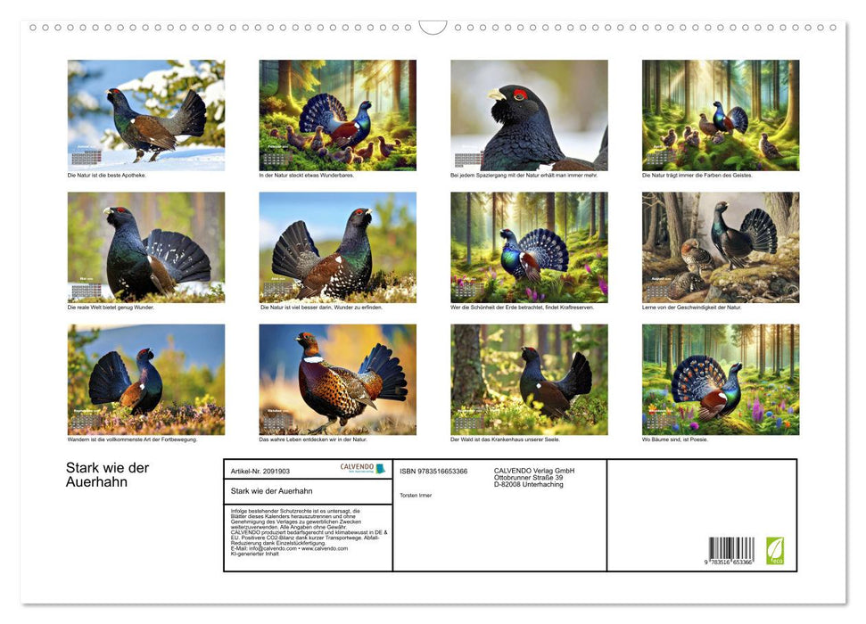 Stark wie der Auerhahn (CALVENDO Wandkalender 2026)