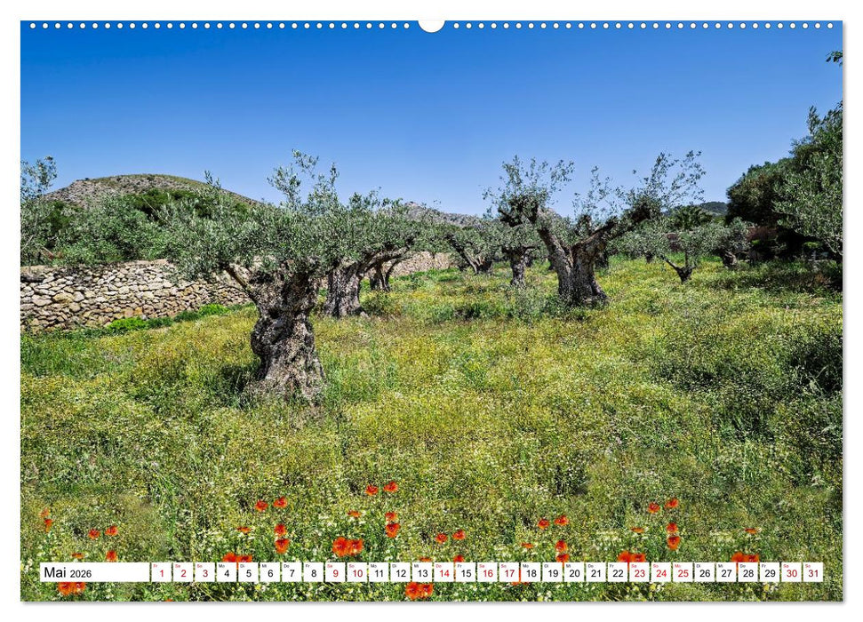 Mallorca - Insel der Landschaftsträume (CALVENDO Wandkalender 2026)