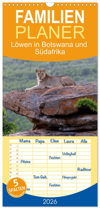 Löwen in Botswana und Südafrika (CALVENDO Familienplaner 2026)