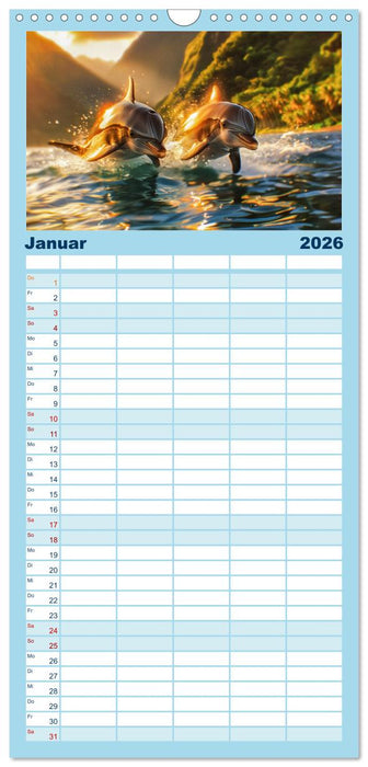 Delfinglück (CALVENDO Familienplaner 2026)