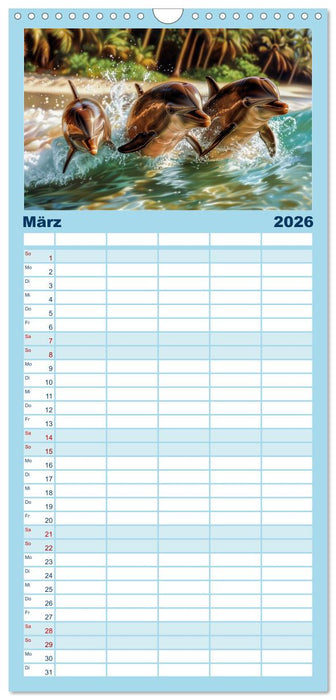 Delfinglück (CALVENDO Familienplaner 2026)