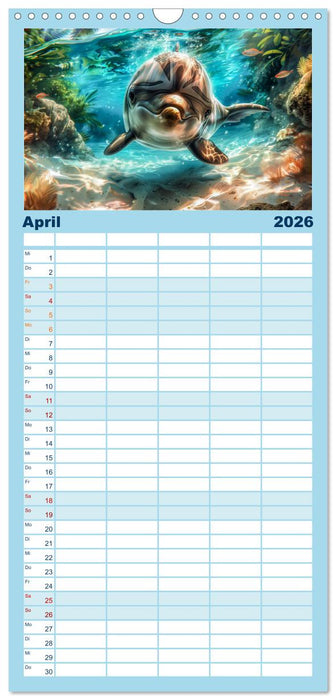 Delfinglück (CALVENDO Familienplaner 2026)