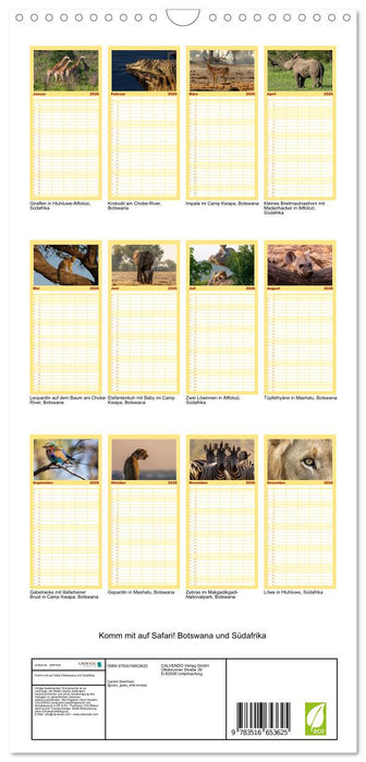 Komm mit auf Safari! Botswana und Südafrika (CALVENDO Familienplaner 2026)