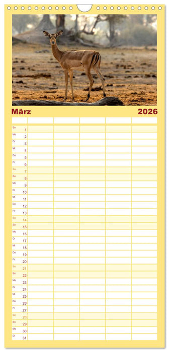 Komm mit auf Safari! Botswana und Südafrika (CALVENDO Familienplaner 2026)