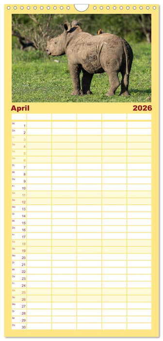 Komm mit auf Safari! Botswana und Südafrika (CALVENDO Familienplaner 2026)