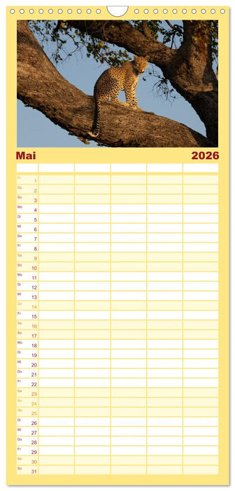 Komm mit auf Safari! Botswana und Südafrika (CALVENDO Familienplaner 2026)