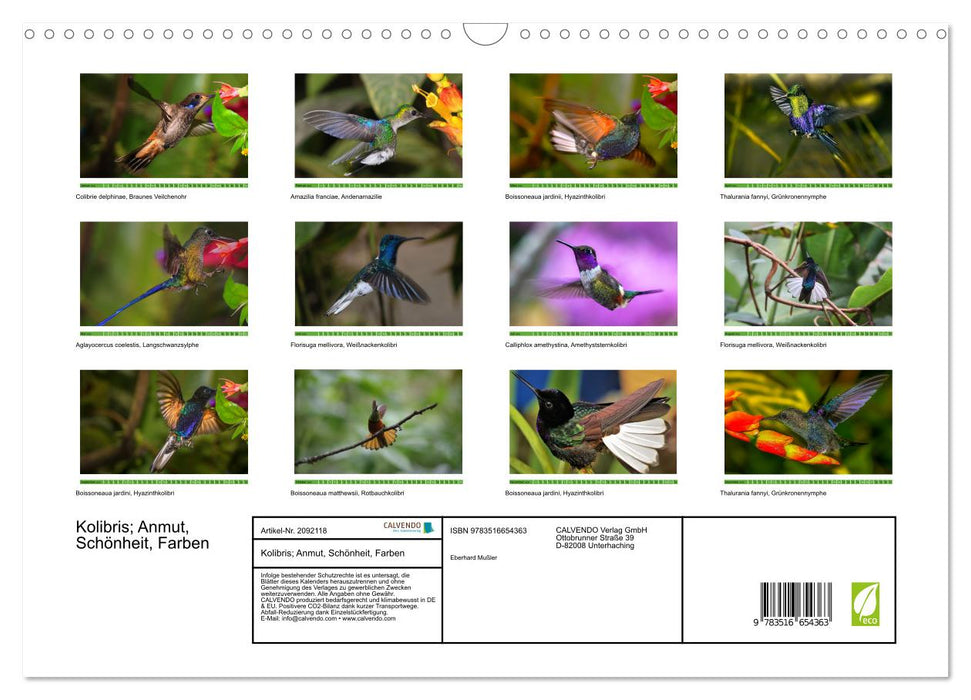Kolibris; Anmut, Schönheit, Farben (CALVENDO Wandkalender 2026)