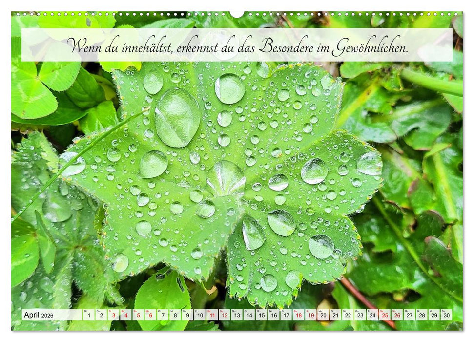 Raus aus dem Autopiloten - Innehalten in Bild und Wort. Ein Jahr jenseits des Funktionierens (CALVENDO Wandkalender 2026)