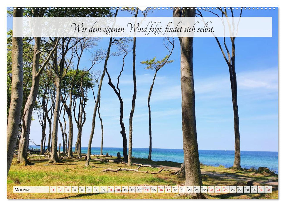 Raus aus dem Autopiloten - Innehalten in Bild und Wort. Ein Jahr jenseits des Funktionierens (CALVENDO Wandkalender 2026)