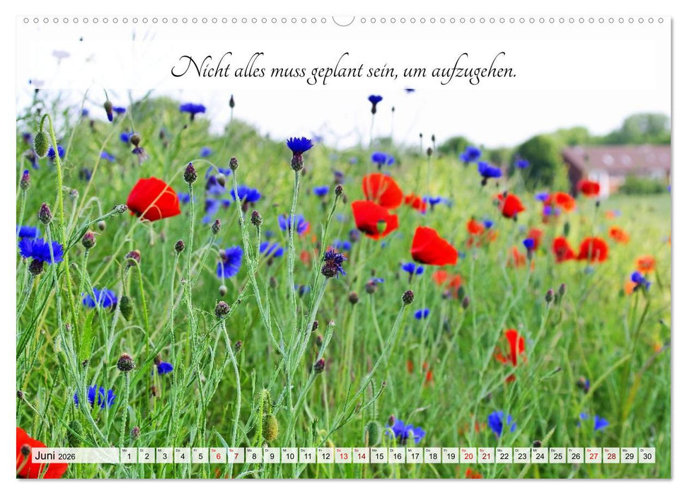 Raus aus dem Autopiloten - Innehalten in Bild und Wort. Ein Jahr jenseits des Funktionierens (CALVENDO Wandkalender 2026)