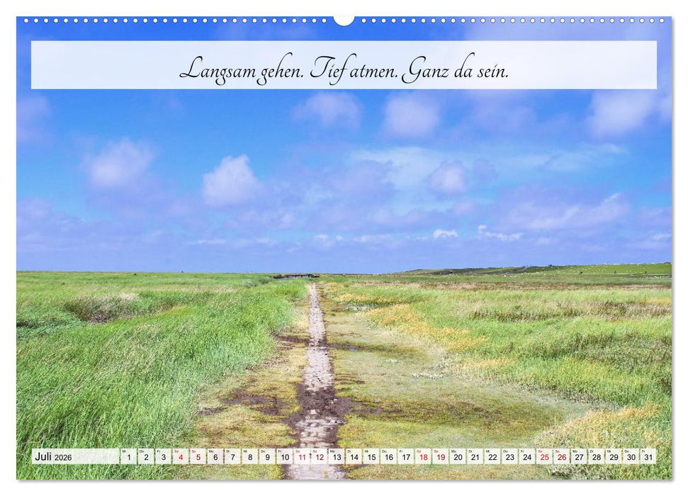 Raus aus dem Autopiloten - Innehalten in Bild und Wort. Ein Jahr jenseits des Funktionierens (CALVENDO Premium Wandkalender 2026)