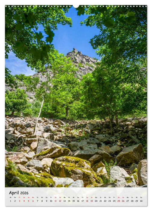 Das Bodetal - Der Grand Canyon des Ostens (CALVENDO Wandkalender 2026)
