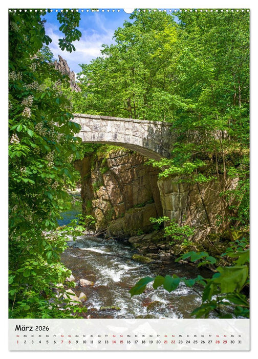 Das Bodetal - Der Grand Canyon des Ostens (CALVENDO Premium Wandkalender 2026)