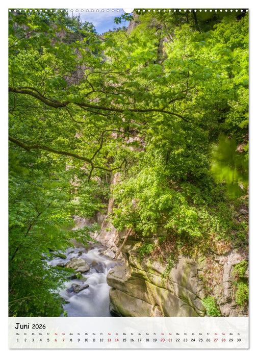 Das Bodetal - Der Grand Canyon des Ostens (CALVENDO Premium Wandkalender 2026)