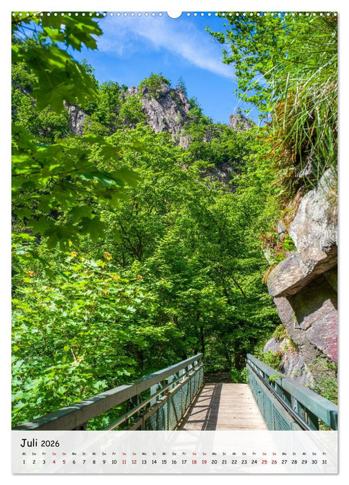 Das Bodetal - Der Grand Canyon des Ostens (CALVENDO Premium Wandkalender 2026)