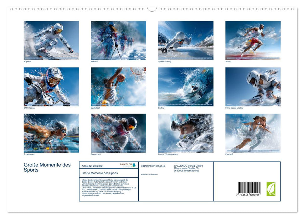 Große Momente des Sports (CALVENDO Premium Wandkalender 2026)