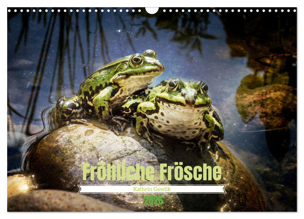 Fröhliche Frösche (CALVENDO Wandkalender 2026)